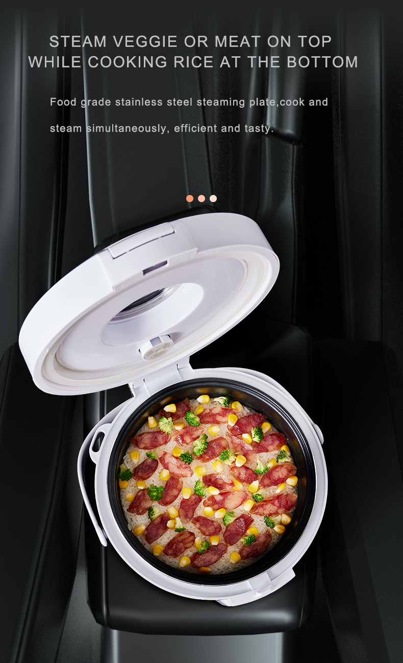 24V Rice Cooker  Truck Soup St - Camping No Cooking Meals review and price